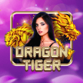 Dragon Tiger okgames app apk live casino